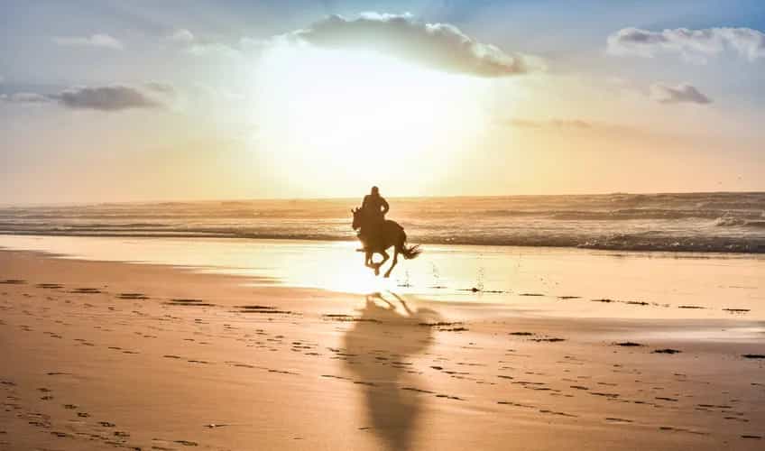 Flyexpress ELEGANT GREAT SAHARA DESERT & MOROCCO, LAND OF FAIRY TALES with Turkish ...