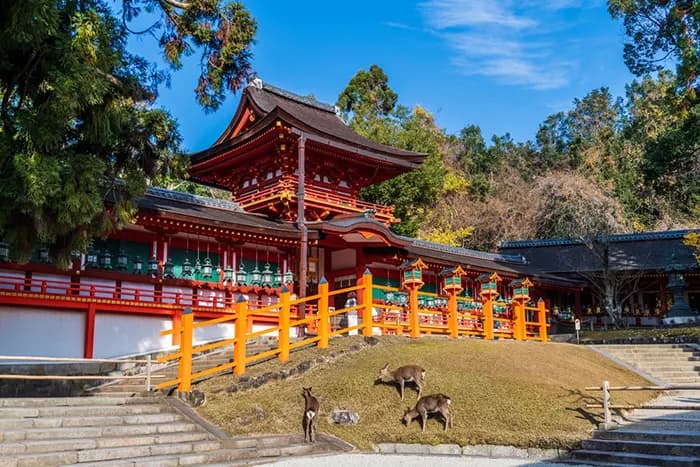 ELEGANT JAPONYA & GÜNEY KORE Qatar Hava Yolları ile 7 Gece, fotoğraf 1