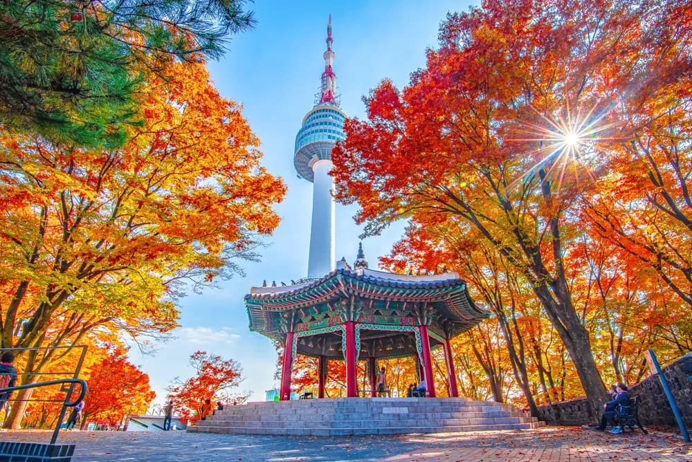 ELEGANT SOUTH KOREA & JAPAN with Turkish Airlines, 7 Nights, photo 1