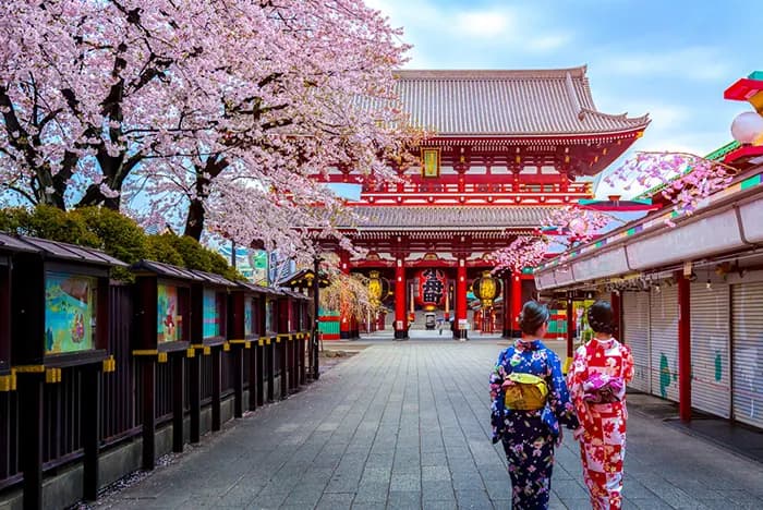 ELEGANT JAPONYA & GÜNEY KORE Türk Hava Yolları ile 9 Gece, fotoğraf 1