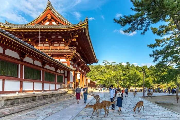 ELEGANT JAPAN & SOUTH KOREA with Qatar Airlines, 9 Nights, photo 1
