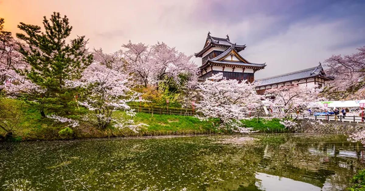 ELEGANT JAPAN with Turkish Airlines, 7 Nights (Nrt-Nrt) | FlyExpress